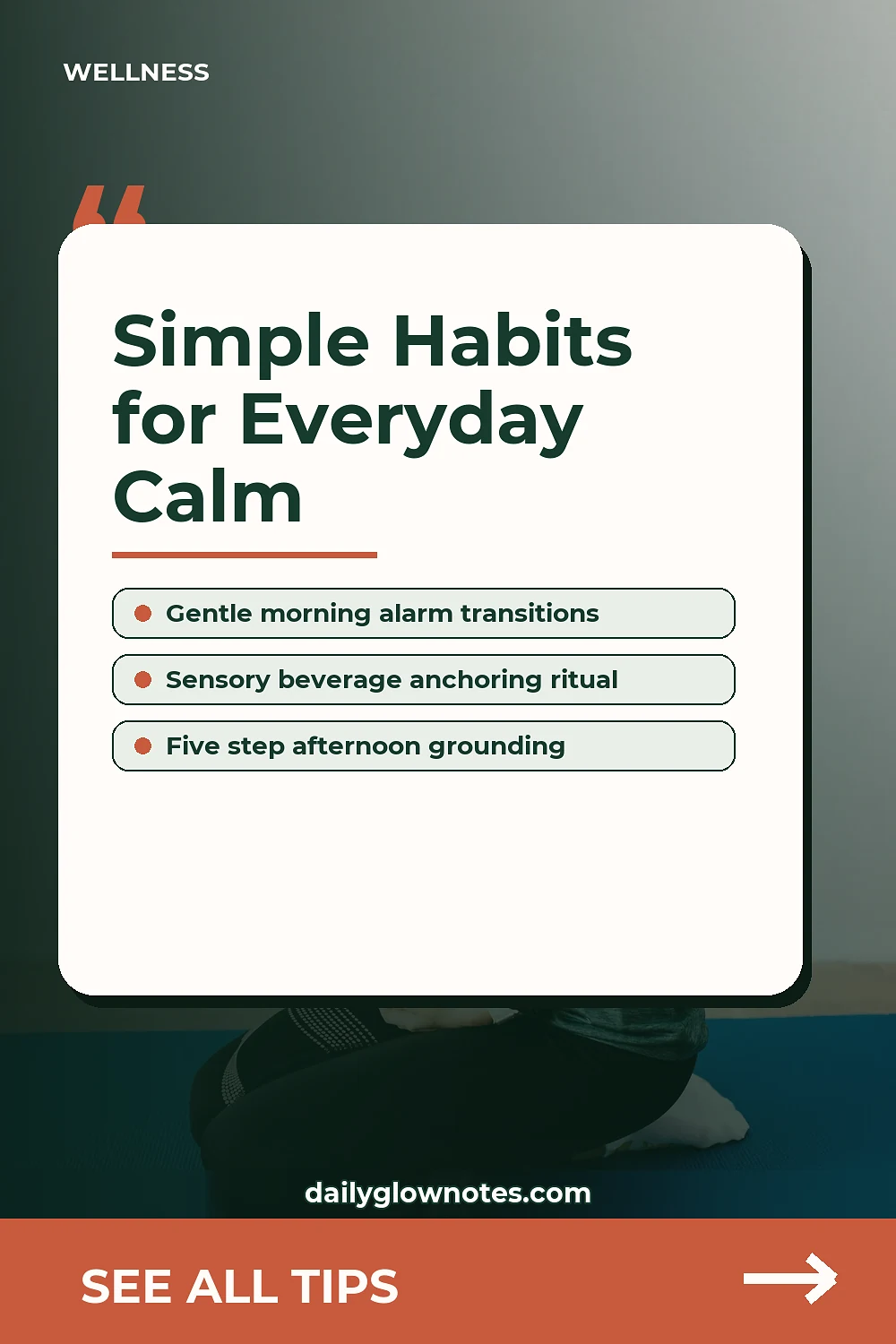Appreciating the 1000 Little Things: Simple Daily Habits for Everyday Calm